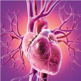 冠狀動脈造影--冠心病診斷金標準