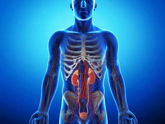 泌尿系碎石清石術