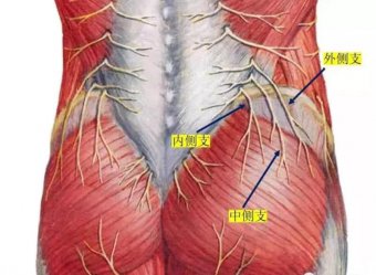 臀上皮神經(jīng)卡壓綜合癥治療新方法——風濕與疼痛三聯(lián)療法